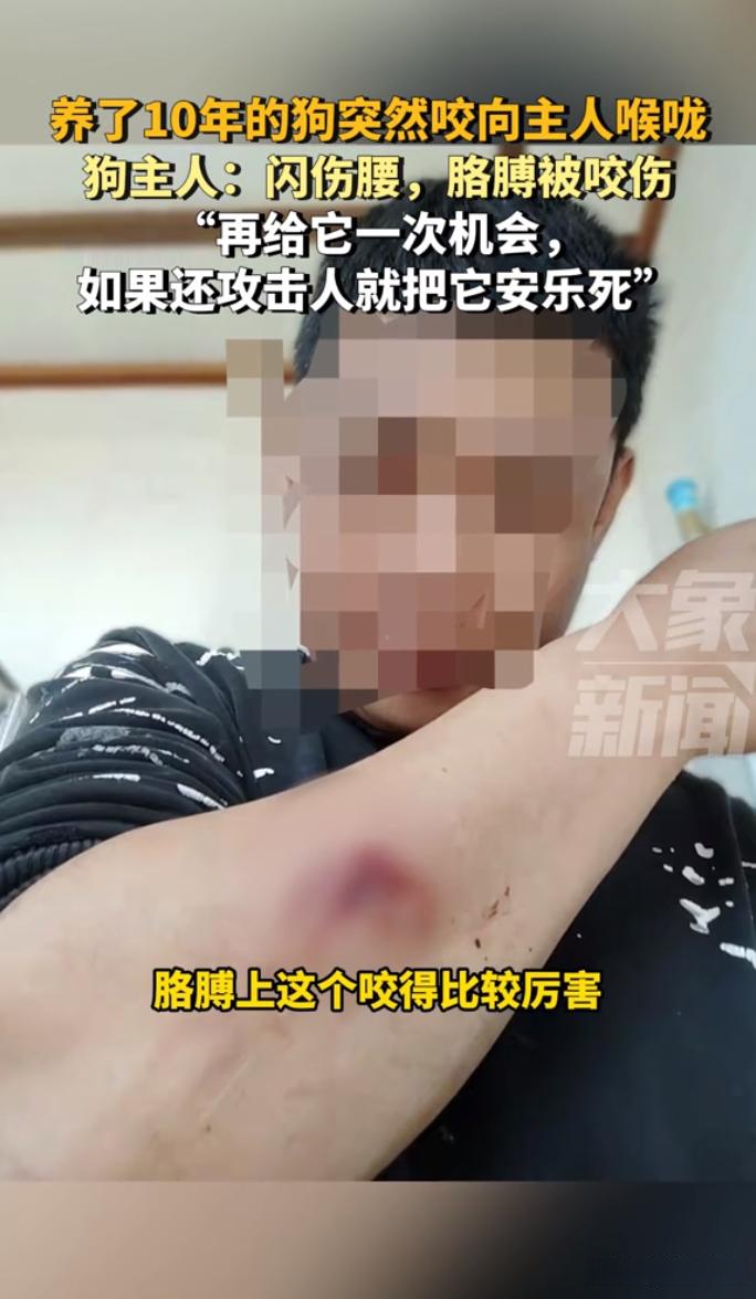 关于DWG教练压力巨大！，Ning遭遇十持续失利热度持续攀升的信息
